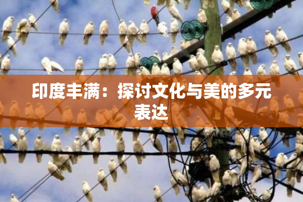印度丰满：探讨文化与美的多元表达