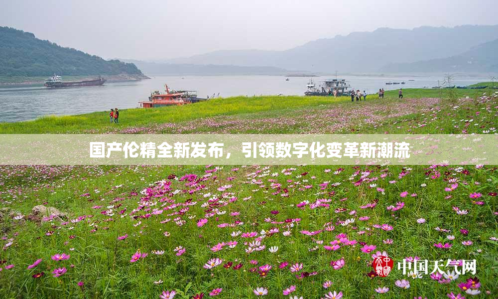 国产伦精全新发布，引领数字化变革新潮流