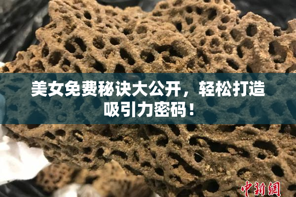 美女免费秘诀大公开，轻松打造吸引力密码！
