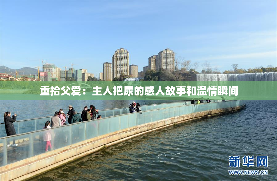 重拾父爱：主人把尿的感人故事和温情瞬间