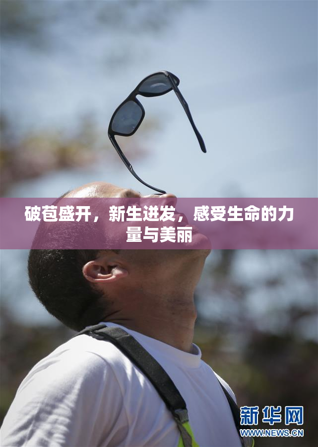 破苞盛开，新生迸发，感受生命的力量与美丽