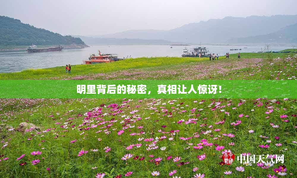 明里背后的秘密，真相让人惊讶！