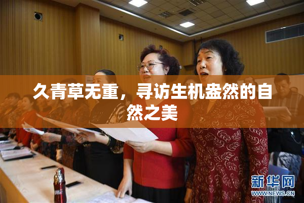 久青草无重，寻访生机盎然的自然之美