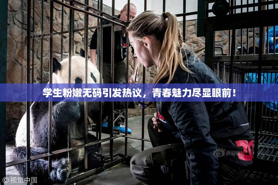 学生粉嫩无码引发热议，青春魅力尽显眼前！