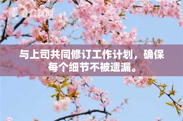 与上司共同修订工作计划，确保每个细节不被遗漏。