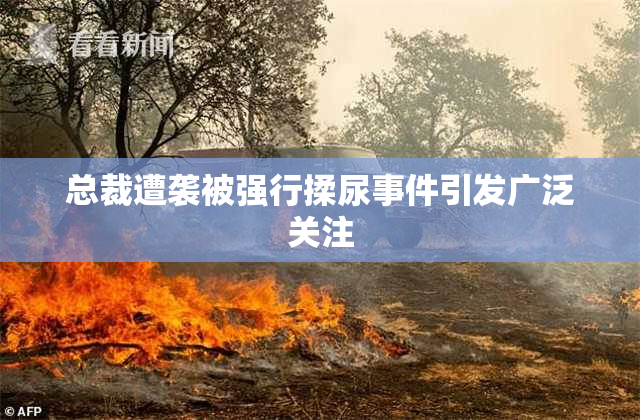 总裁遭袭被强行揉尿事件引发广泛关注