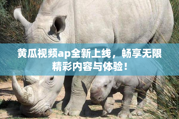 黄瓜视频ap全新上线，畅享无限精彩内容与体验！
