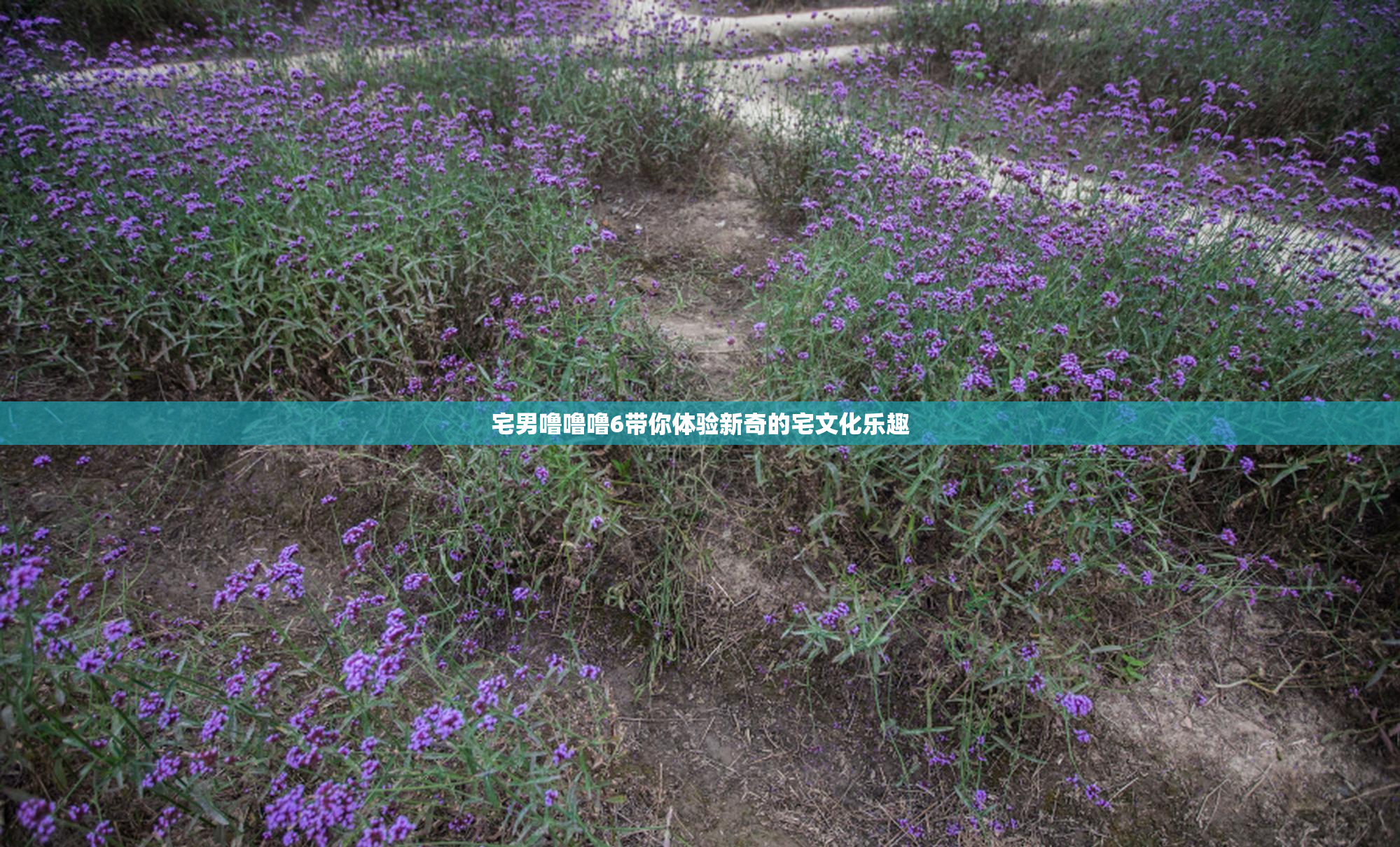 宅男噜噜噜6带你体验新奇的宅文化乐趣