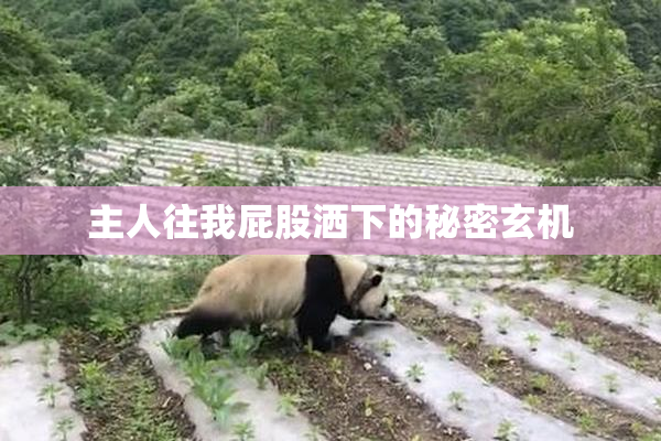 主人往我屁股洒下的秘密玄机