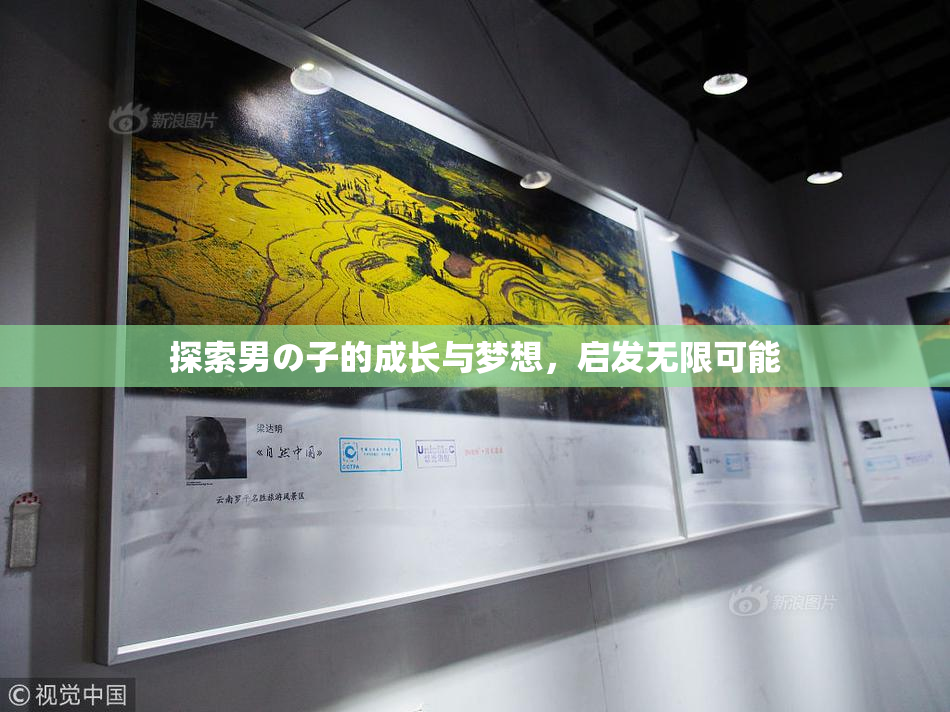 探索男の子的成长与梦想，启发无限可能