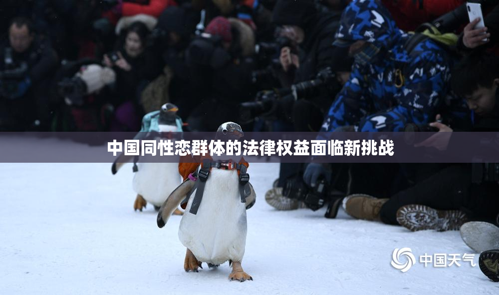 中国同性恋群体的法律权益面临新挑战
