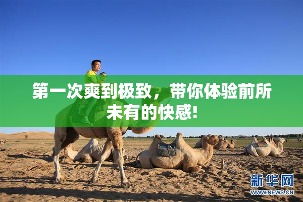 第一次爽到极致，带你体验前所未有的快感!