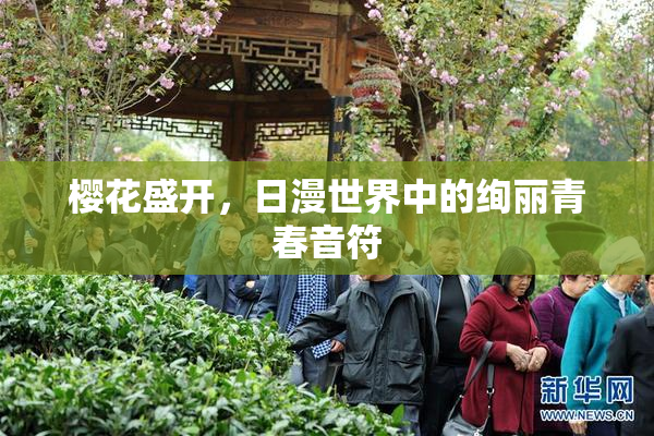 樱花盛开，日漫世界中的绚丽青春音符