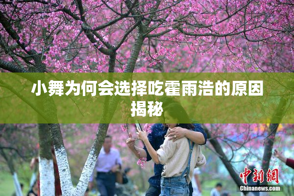 小舞为何会选择吃霍雨浩的原因揭秘