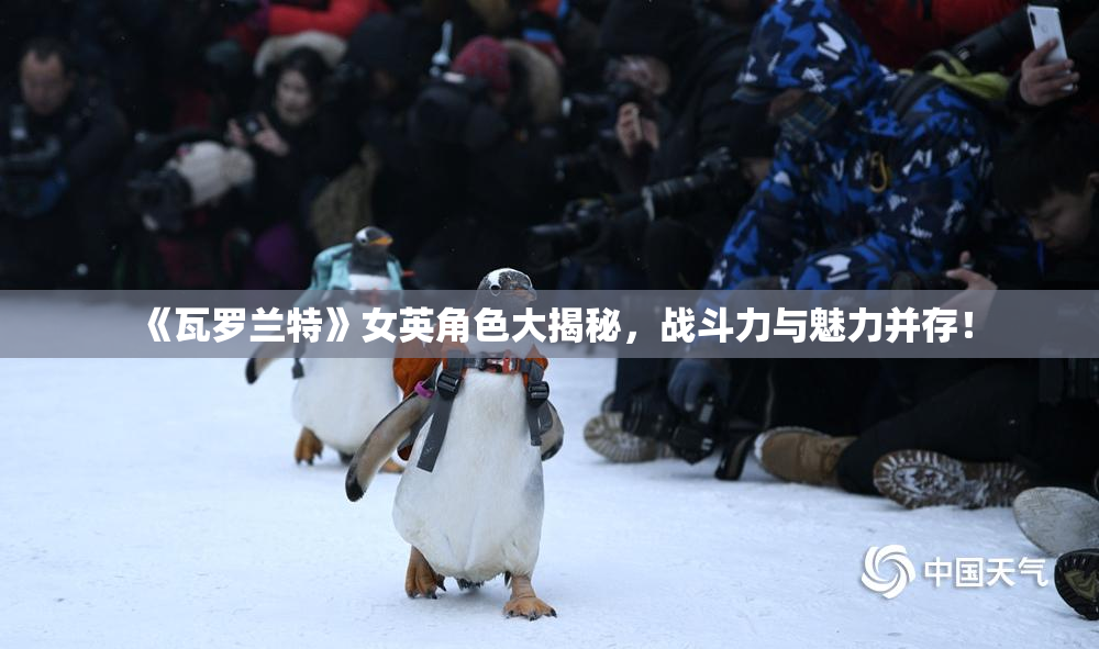 《瓦罗兰特》女英角色大揭秘，战斗力与魅力并存！
