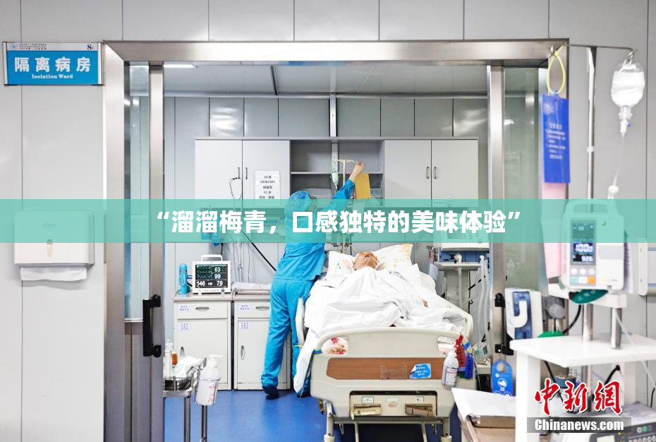 “溜溜梅青，口感独特的美味体验”