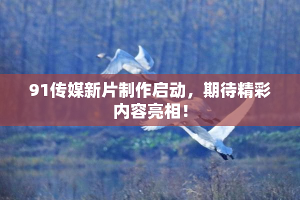 91传媒新片制作启动，期待精彩内容亮相！