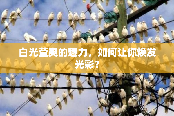 白光莹爽的魅力，如何让你焕发光彩？