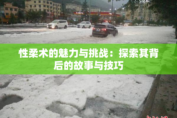 性柔术的魅力与挑战：探索其背后的故事与技巧