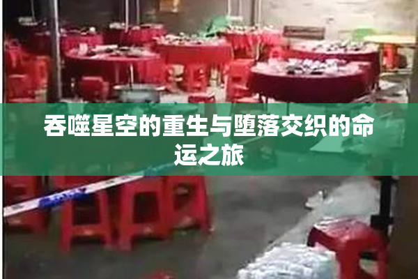 吞噬星空的重生与堕落交织的命运之旅