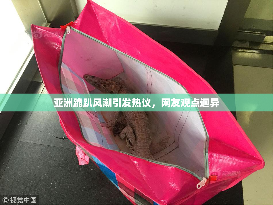 亚洲跪趴风潮引发热议，网友观点迥异