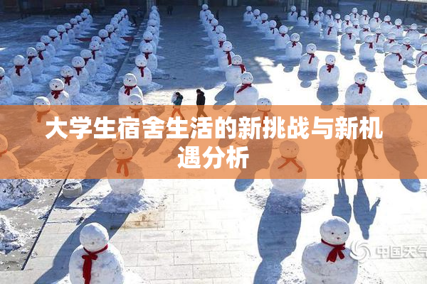 大学生宿舍生活的新挑战与新机遇分析