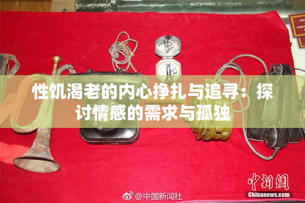 性饥渴老的内心挣扎与追寻：探讨情感的需求与孤独