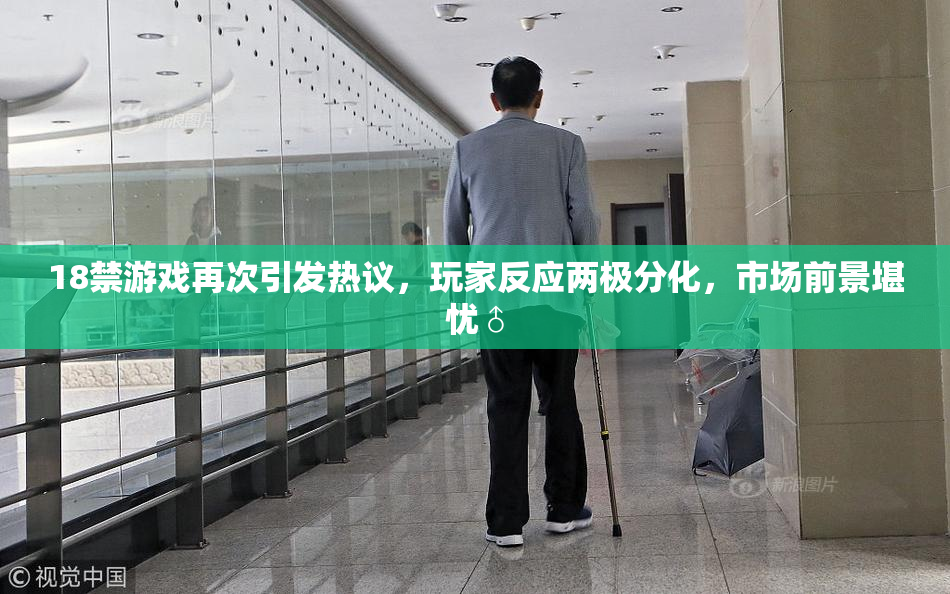 18禁游戏再次引发热议，玩家反应两极分化，市场前景堪忧♂
