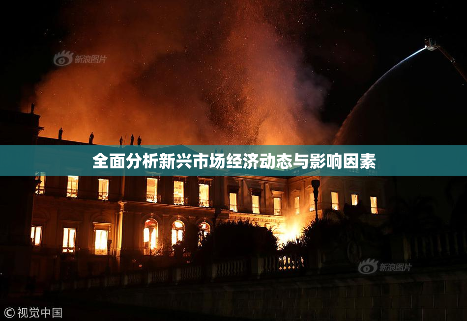 全面分析新兴市场经济动态与影响因素
