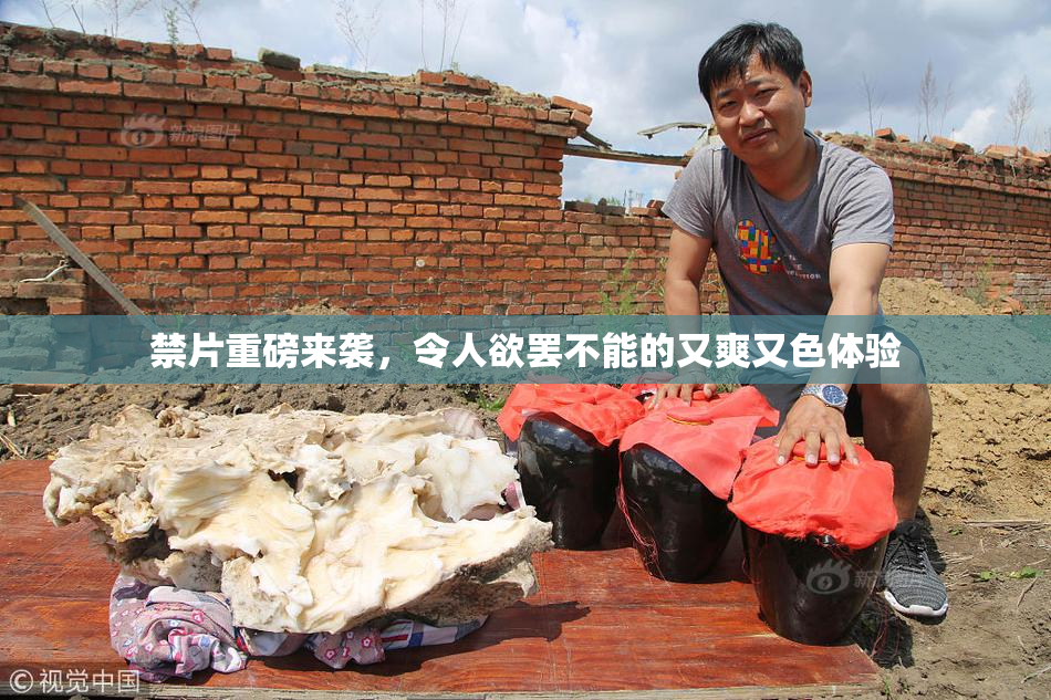 禁片重磅来袭，令人欲罢不能的又爽又色体验
