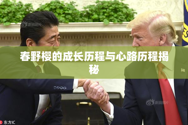 春野樱的成长历程与心路历程揭秘