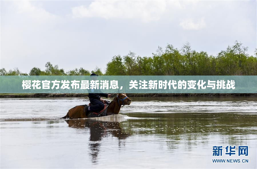 樱花官方发布最新消息，关注新时代的变化与挑战
