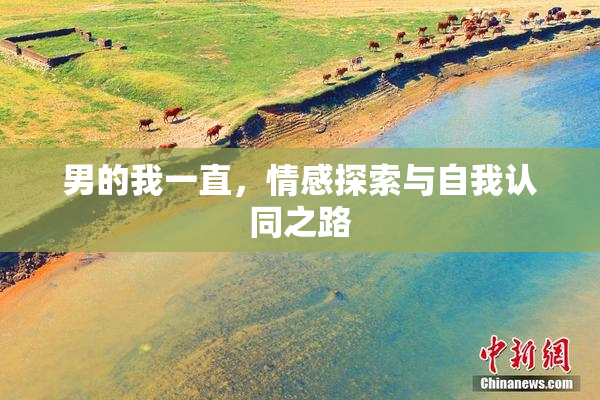 男的我一直，情感探索与自我认同之路