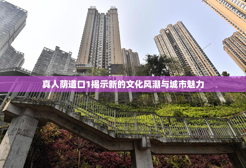 真人荫道口1揭示新的文化风潮与城市魅力
