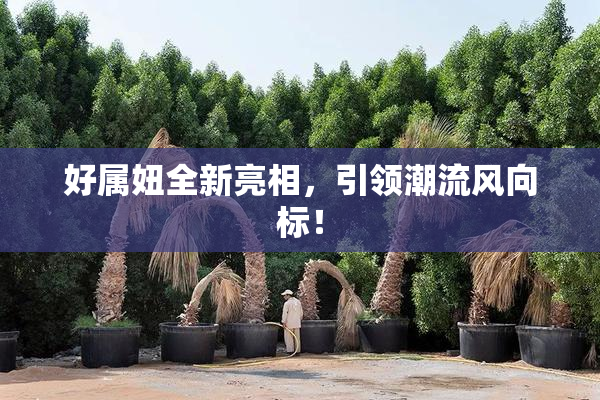 好属妞全新亮相，引领潮流风向标！