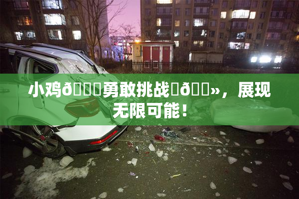 小鸡🐔勇敢挑战‌🐻，展现无限可能！