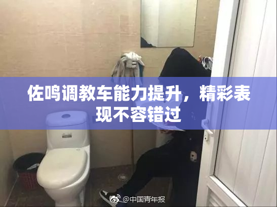 佐鸣调教车能力提升，精彩表现不容错过