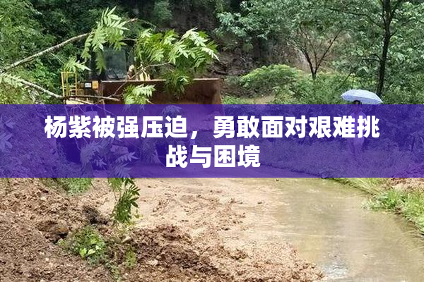 杨紫被强压迫，勇敢面对艰难挑战与困境