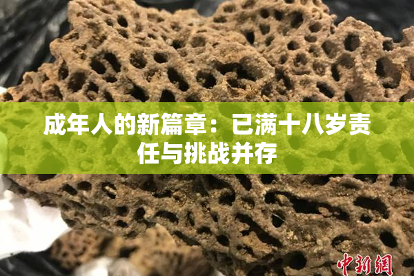 成年人的新篇章：已满十八岁责任与挑战并存