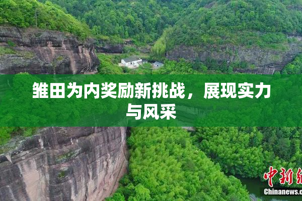 雏田为内奖励新挑战，展现实力与风采