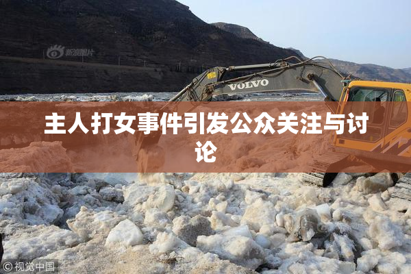 主人打女事件引发公众关注与讨论