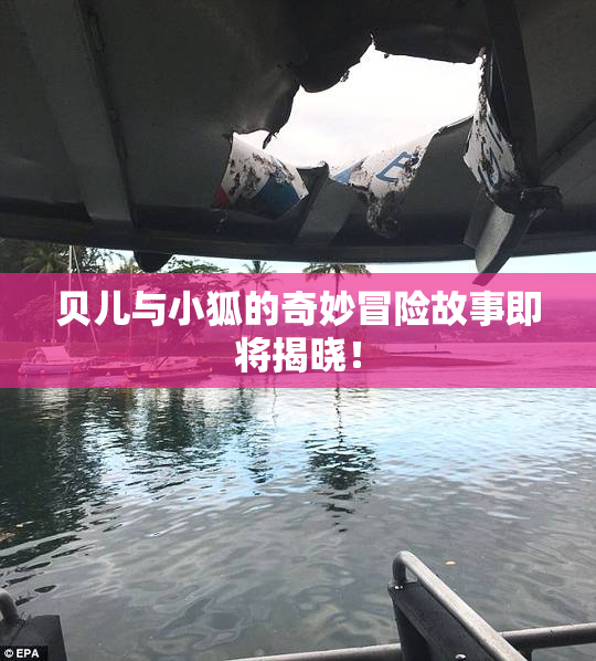 贝儿与小狐的奇妙冒险故事即将揭晓！