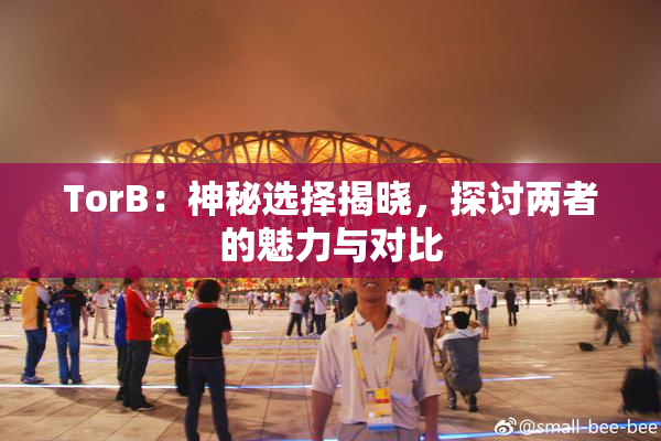 TorB：神秘选择揭晓，探讨两者的魅力与对比