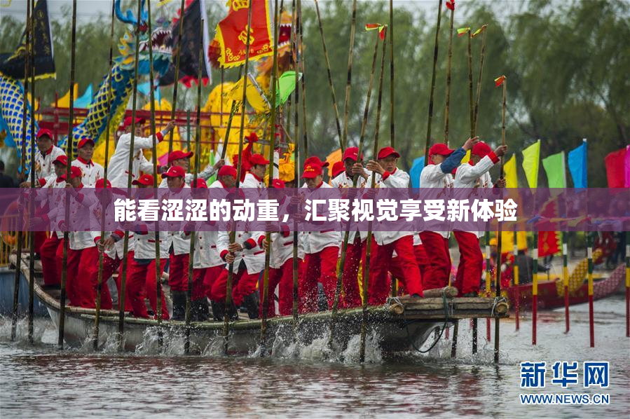 能看涩涩的动重，汇聚视觉享受新体验