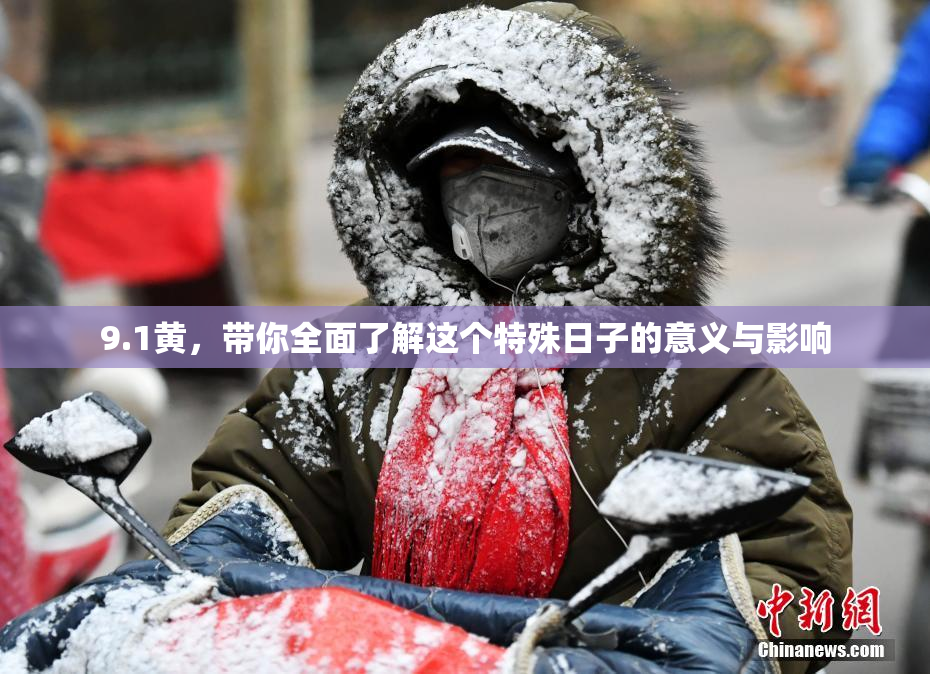 9.1黄，带你全面了解这个特殊日子的意义与影响