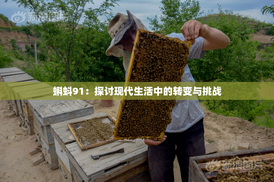 蝌蚪91：探讨现代生活中的转变与挑战