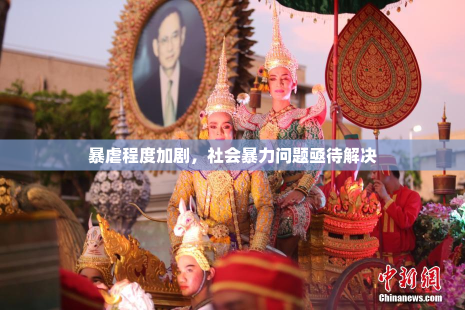 暴虐程度加剧，社会暴力问题亟待解决