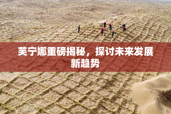 芙宁娜重磅揭秘，探讨未来发展新趋势
