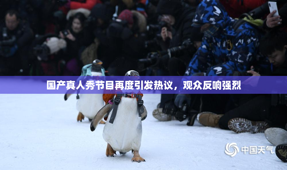 国产真人秀节目再度引发热议，观众反响强烈