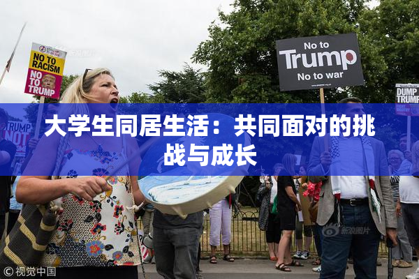 大学生同居生活：共同面对的挑战与成长